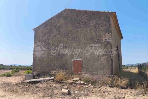 Landejendom i Caudete, Albacete, Caudete - € 87.000 | Ref: SF0540 - foto 15